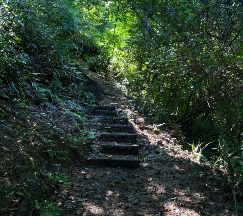Photo of Outdoor in Yelapa