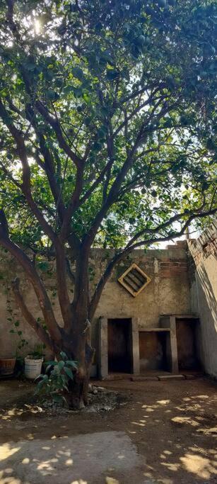 Photo of Others in Alamos