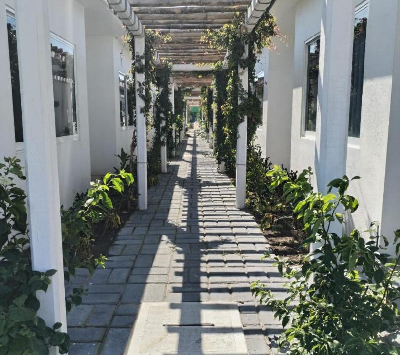 Photo of Others in Tuxpan