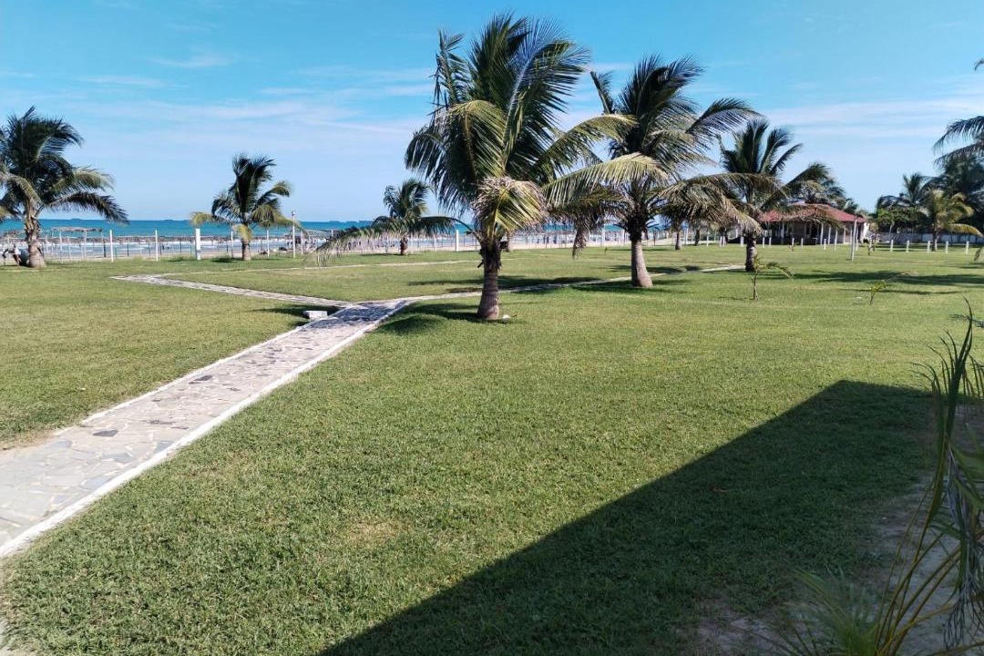 Photo of Others in Tuxpan