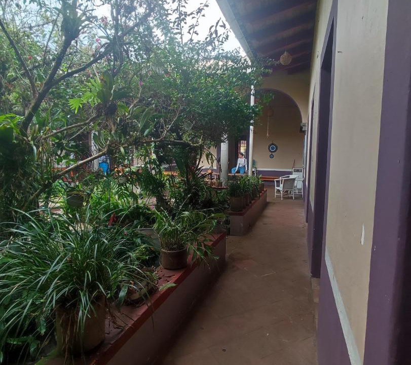 Photo of Others in Coatepec