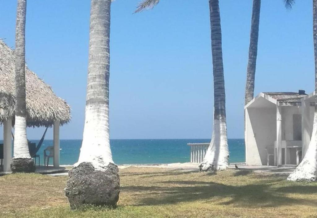 Photo of Others in Tecolutla
