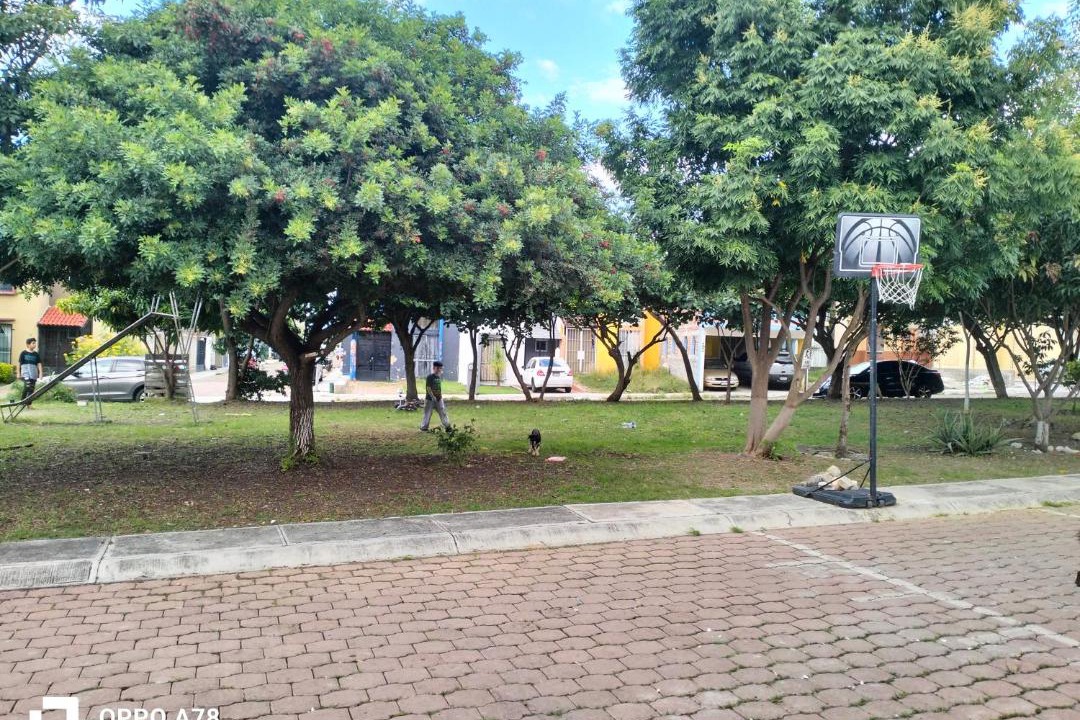 Photo of Others in Zamora