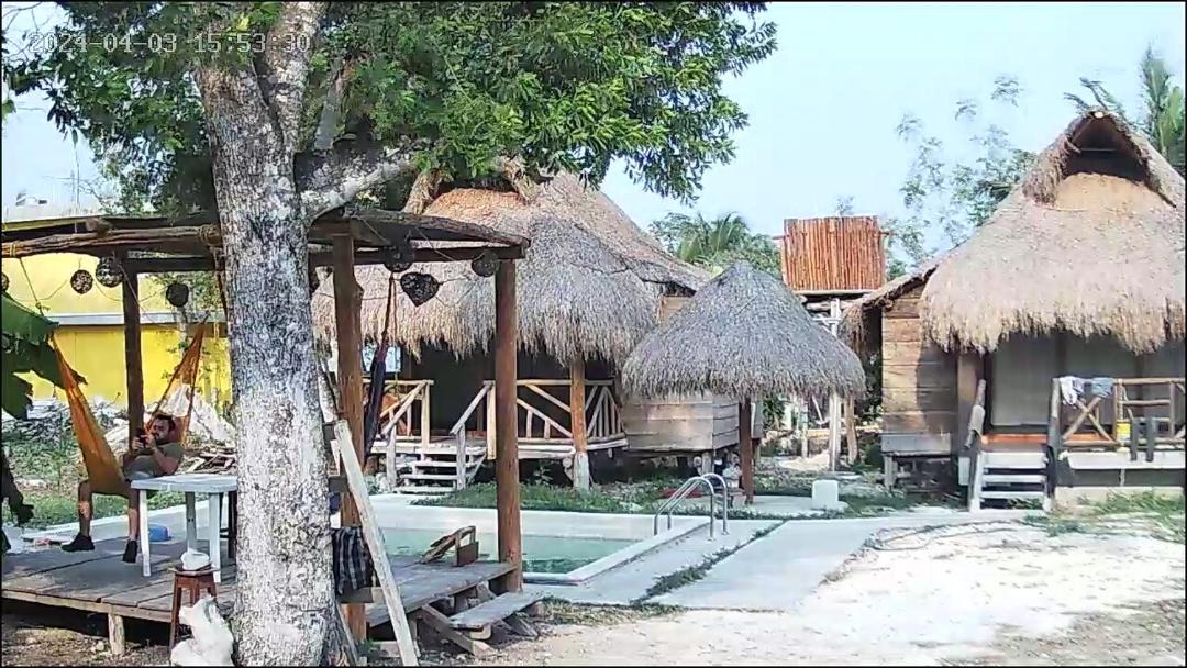 Photo of Others in Xpujil