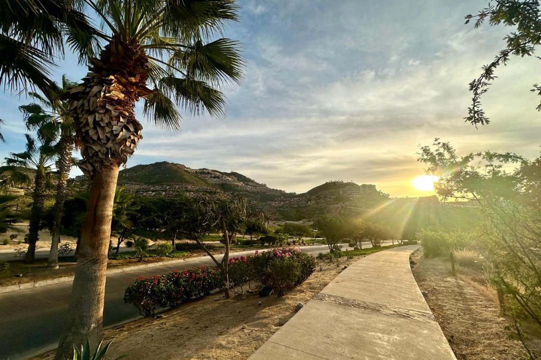 Photo of Others in Los Cabos