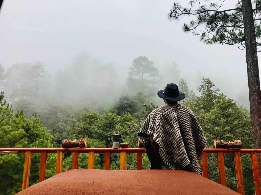 Photo of Others in San Jose del Pacifico