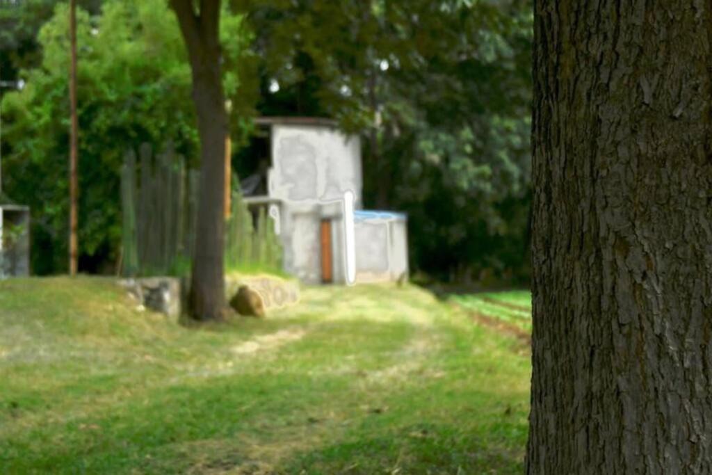 Photo of Others in Metztitlan