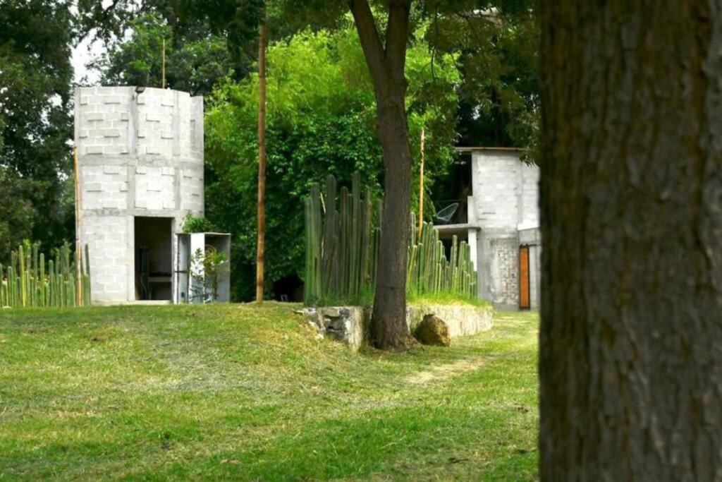 Photo of Others in Metztitlan