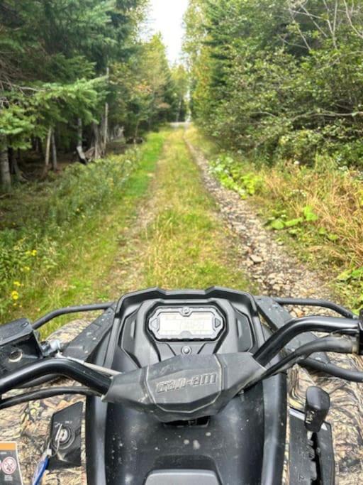 Photo of Others in Rangeley