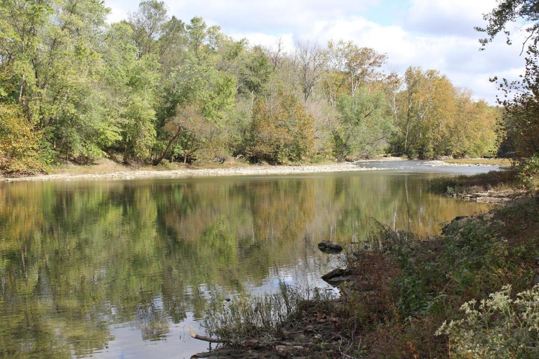 Photo of Others in Milford