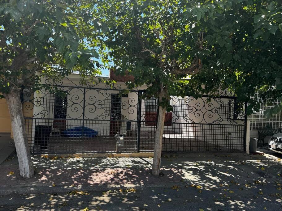 Photo of Others in Juarez Municipality