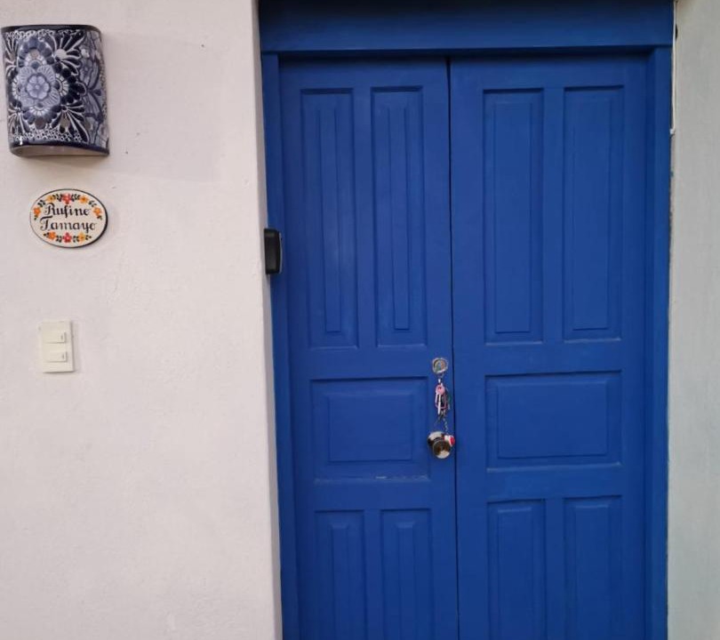 Photo of Others in Guanajuato