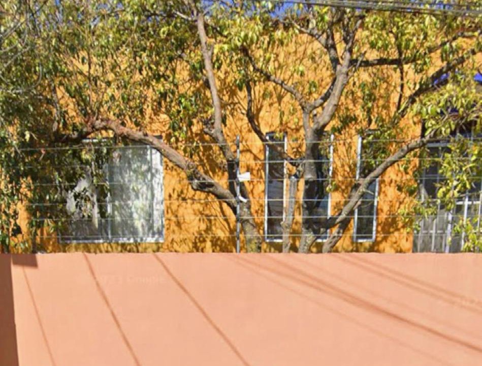 Photo of Others in Oaxaca