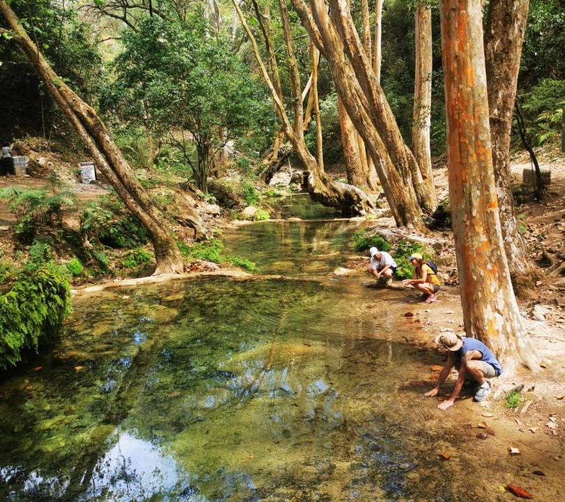 Photo of Others in Jalpan de Serra