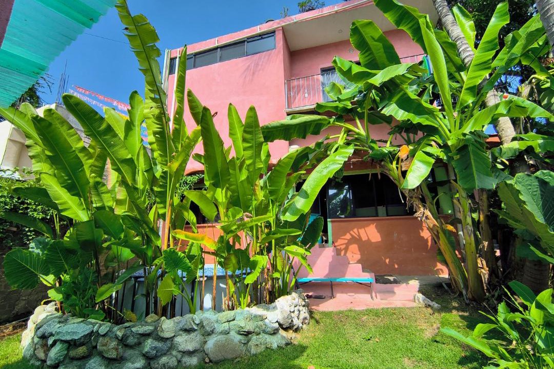 Photo of Others in Sayulita