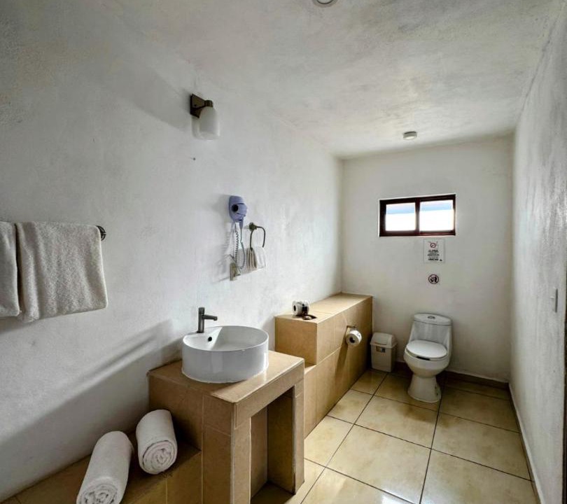 Photo of Bathroom in Downtown Puerto Vallarta