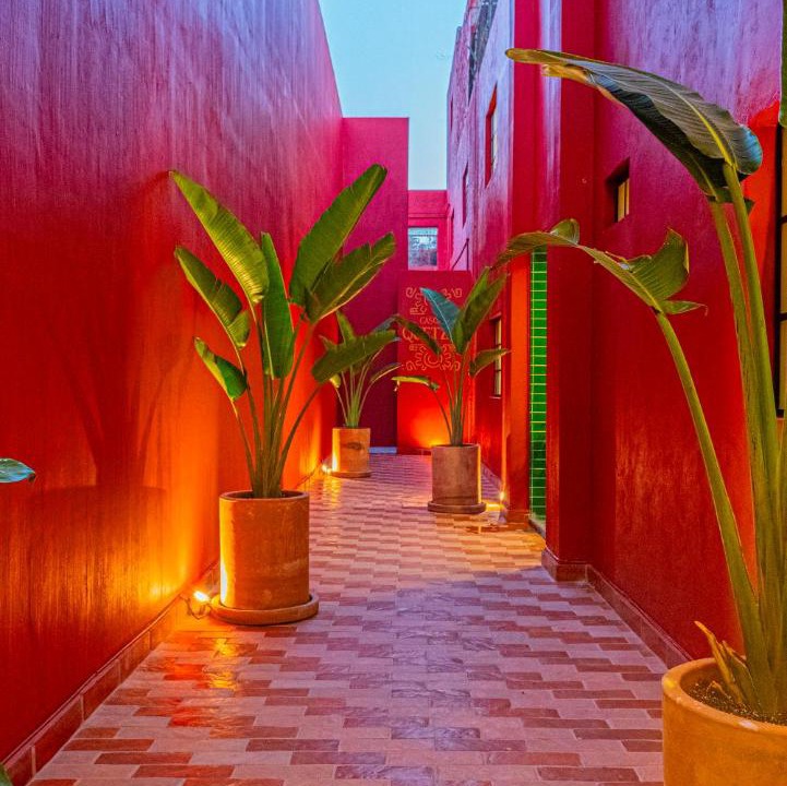 Photo of Others in Guadalajara
