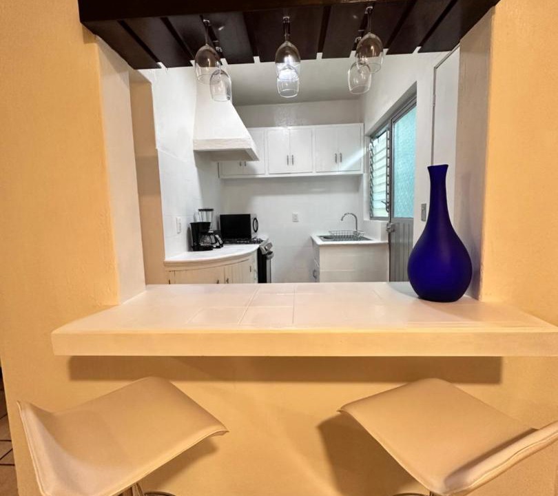 Photo of Kitchen in Chapala Centro