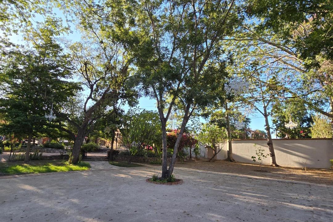 Photo of Others in Alamos