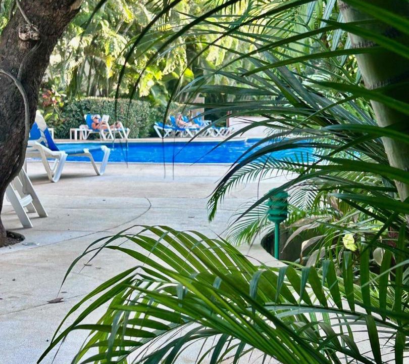 Photo of Others in Fluvial Vallarta
