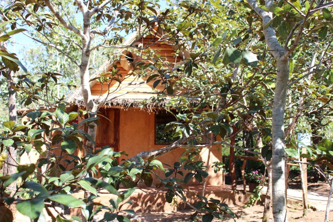 Photo of Others in Xalisco