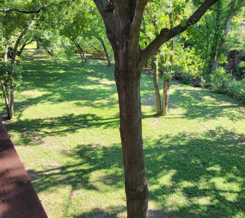 Photo of Others in Lake Highlands