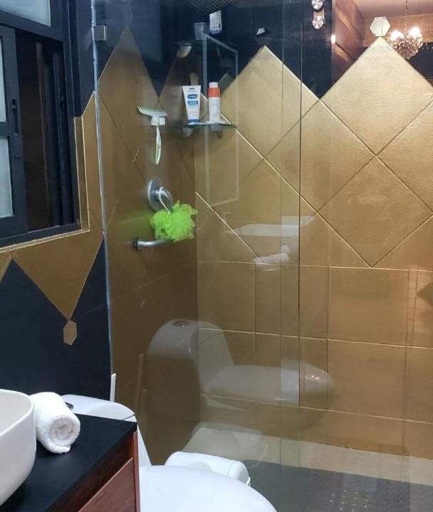 Photo of Bathroom in Downtown Mexico City