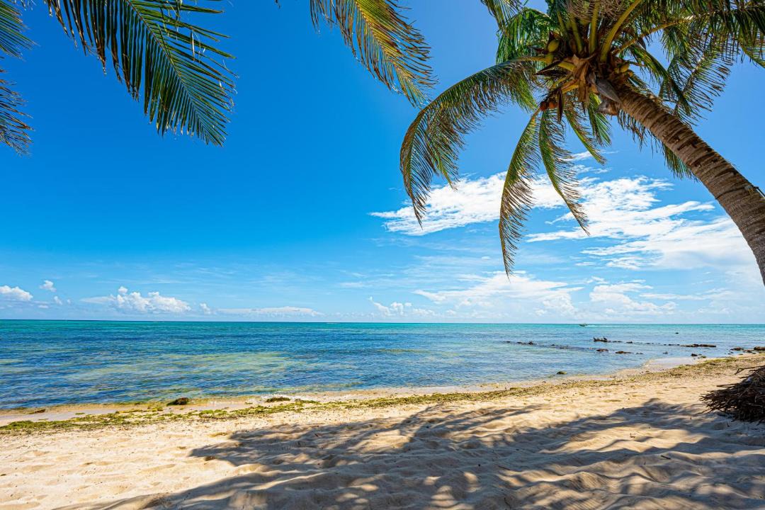 Photo of Others in Soliman Bay