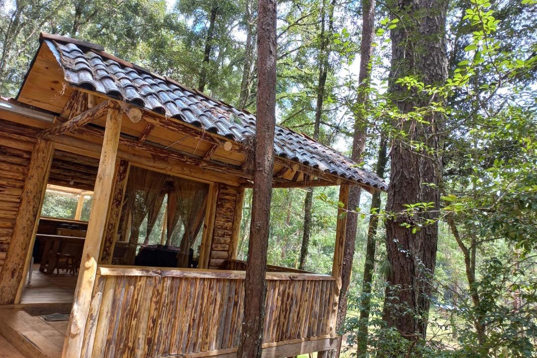 Photo of Others in Acaxochitlan