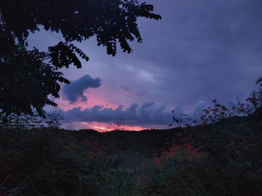 Photo of Others in La Cruz de Huanacaxtle