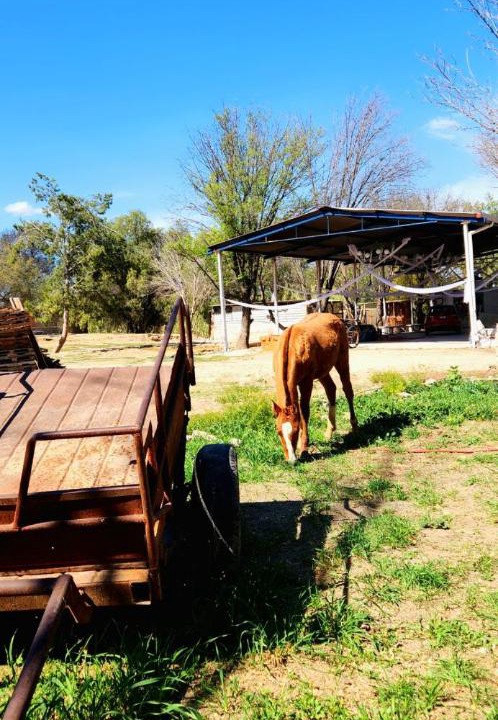Photo of Others in San Francisco de los Romos