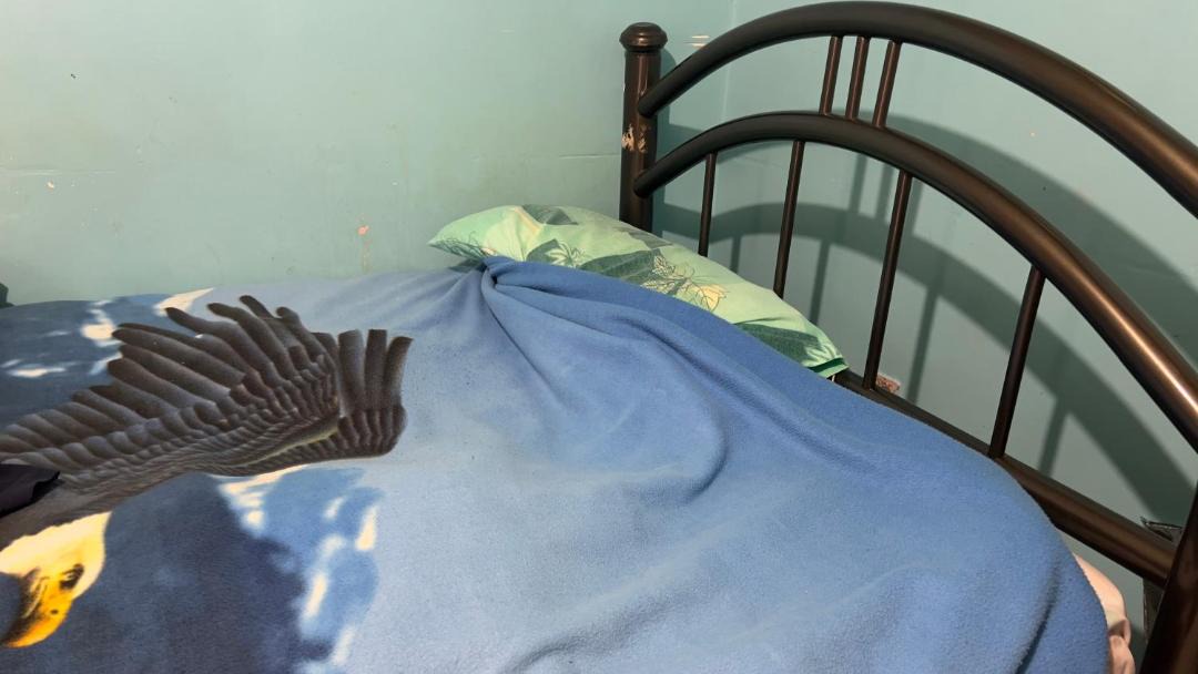 Photo of Bedroom in Toluca