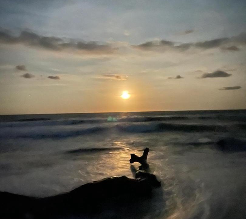 Photo of Human In Picture in Nautla
