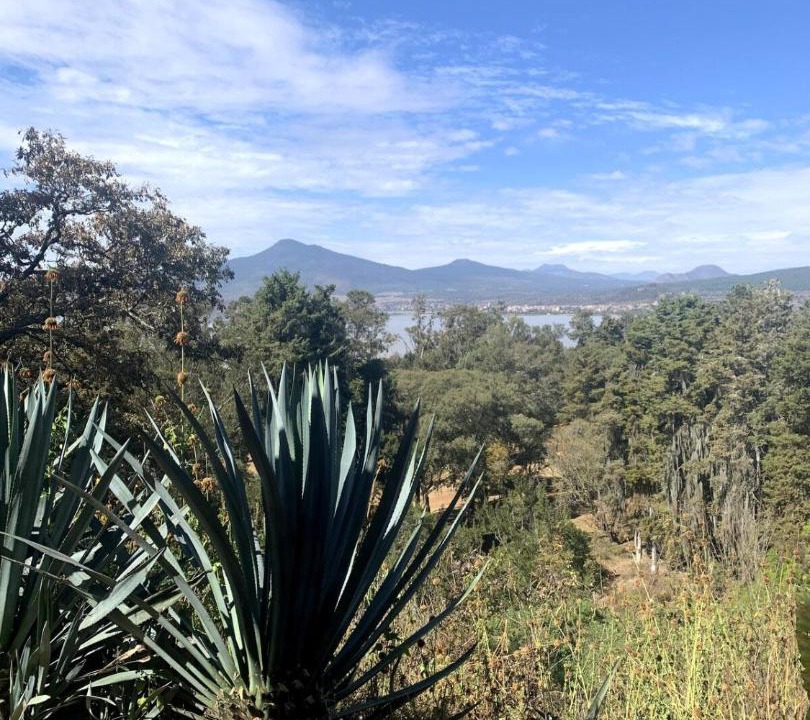 Photo of Others in Santa Fe de la Laguna