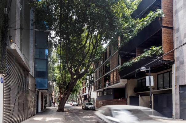 Photo of Buildings in Colonia Cuauhtemoc