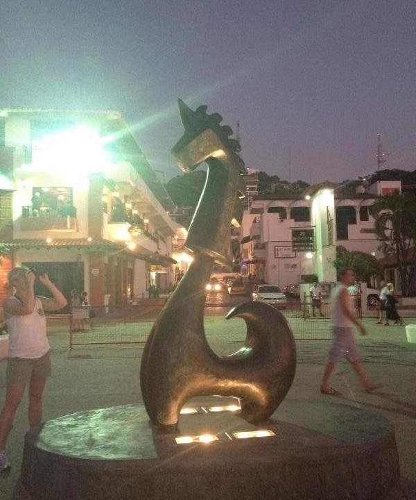 Photo of Others in Downtown Puerto Vallarta