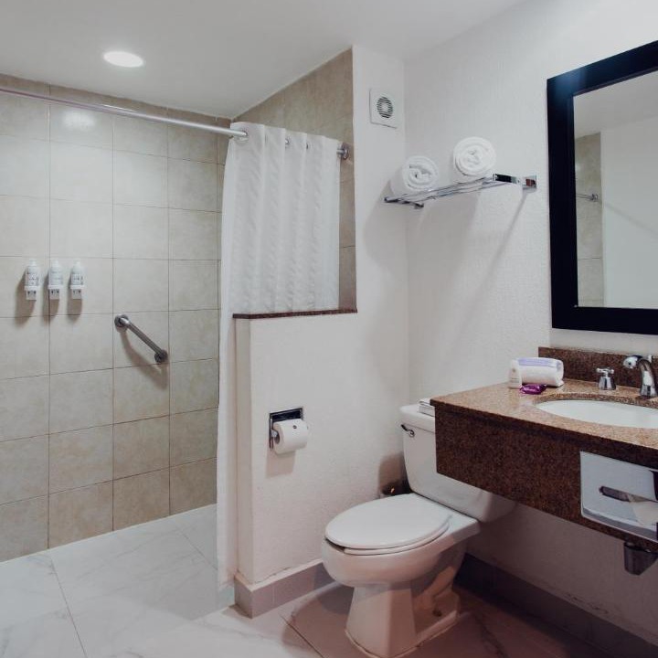 Photo of Bathroom in Tampico