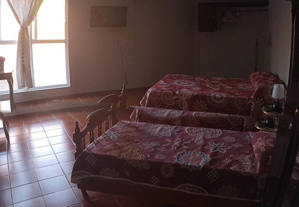 Photo of Others in La Campana