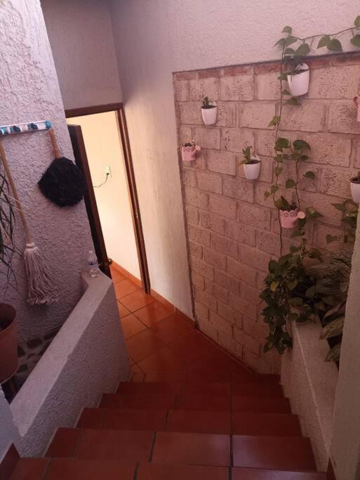 Photo of Others in La Campana