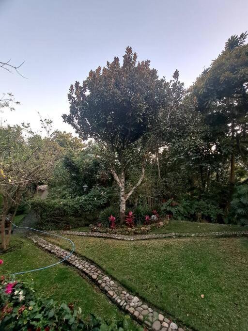 Photo of Others in Malinalco