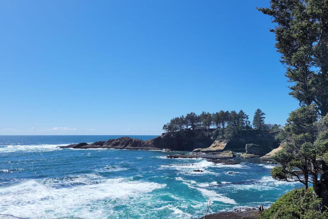 Photo of Others in Depoe Bay