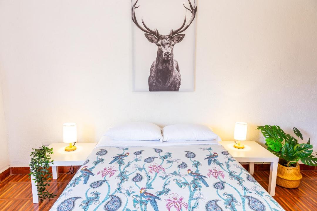 Photo of Bedroom in San Miguel