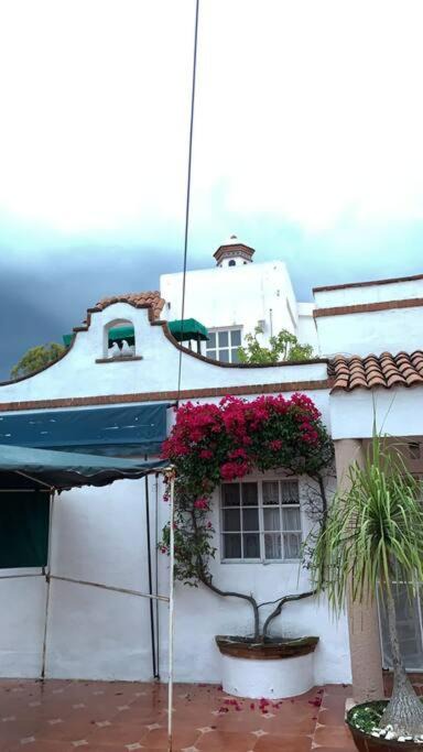 Photo of Others in Tequisquiapan