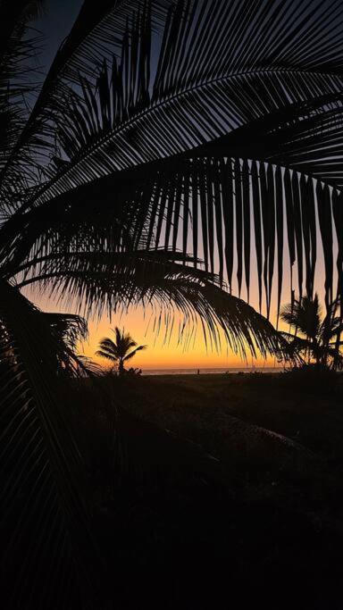 Photo of Others in Los Tamarindos