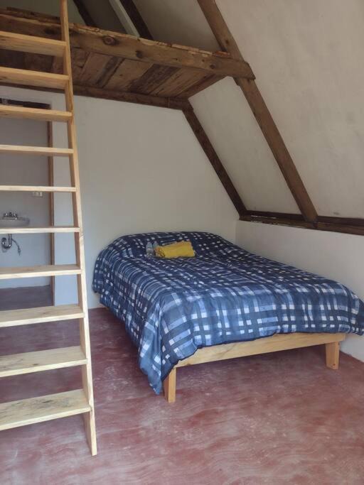Photo of Bedroom in Xilitla