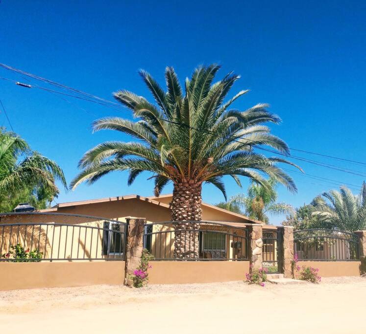 Photo of Others in Ejido El Porvenir