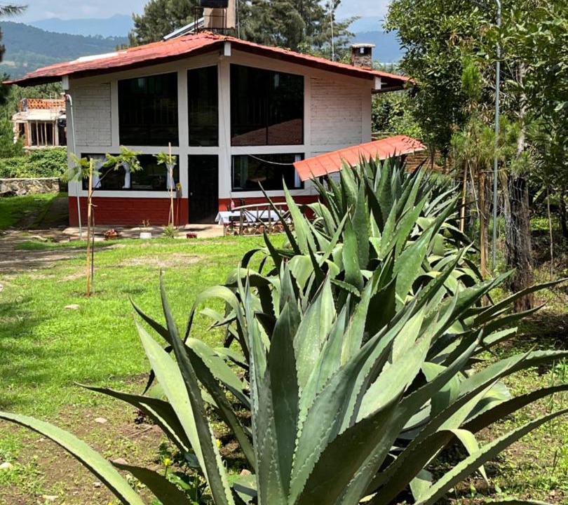 Photo of Others in Mazamitla
