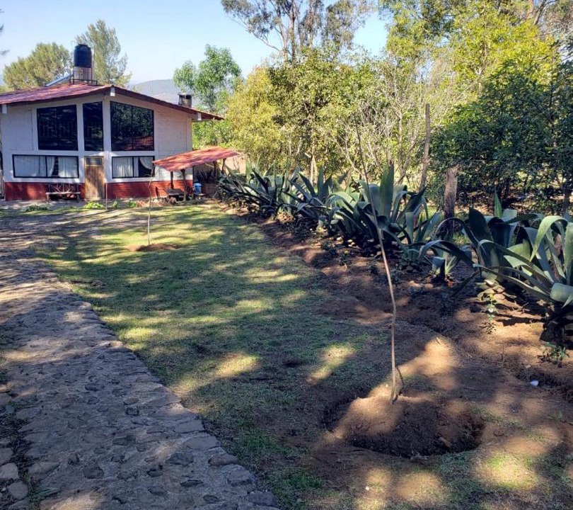 Photo of Others in Mazamitla