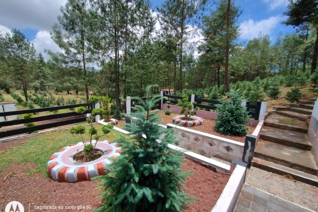 Photo of Outdoor in Villa Aldama