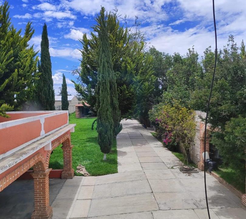 Photo of Others in Huamantla